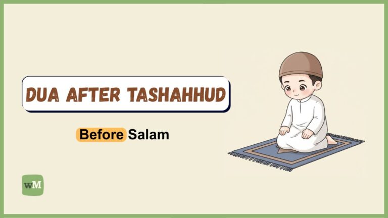 Dua After Tashahhud Before Salam (Text, Pictures & MP3)